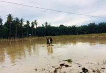 Masobra 1,000 pamilya nagbakwit bangud sa pagbaha sa Pikit, North Cotabato; 9 barangay na apektado