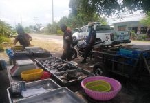 Mga fish vendors nga nagapalusot ang mga gintinda nga isda pakadto sa satellite market sa Surallah, South Cotabato sa tunga sang Covid-19, gindakop sang mga mga otoridad; mga isda ginkumpiskar