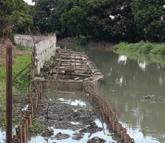 Ghost projects’ indi mag usbong kung wala sang kooperasyon sang COA – Estrada