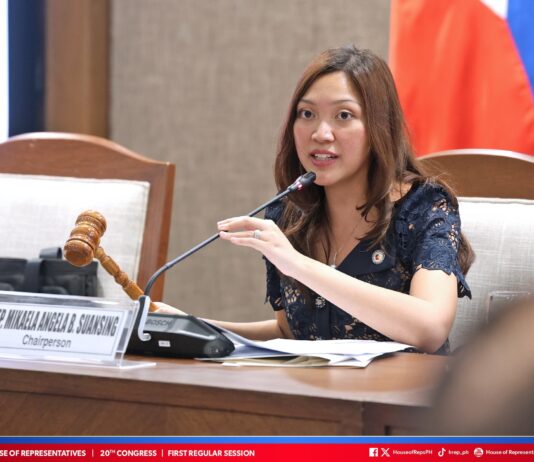 House Appropriations Committee Chairperson ginpanginwala ang alegasyon nga may ‘pork barrels’ ang 2027 National Expenditure Program