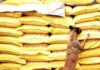 DA, nagapabakod sang kampanya kontra sa smuggling sang bugas