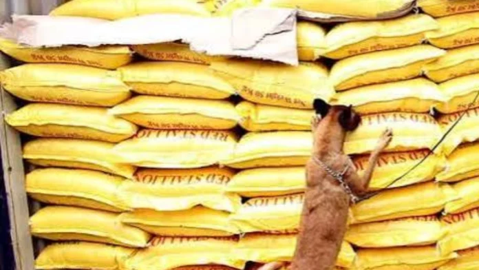 da-nagapabakod-sang-kampanya-kontra-smuggling-sang-bugas