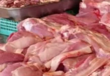 DA, nagaplano limitahan ang imported nga baboy sa Nobyembre