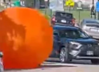 Dako nga inflatable pumpkin, nagligid-ligid sa dalan kag nangin bida sa traffic!