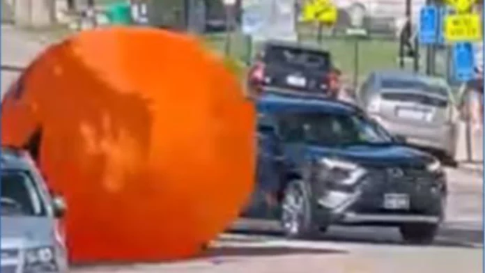 dako-nga-inflatable-pumpkin-nagligid-ligid-dalan-kag-nangin-bida-traffic