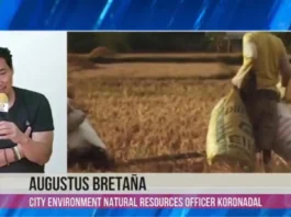 CENRO kag CDRRMO, nagakoordinar para sa preprasyon sa posible nga epekto sang Super El Niño