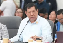 Rep. Erice, nagpanawagan nga may manabat sa kontrobersiya sang ‘unprogrammed funds’