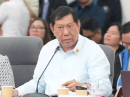 Rep. Erice, nagpanawagan nga may manabat sa kontrobersiya sang ‘unprogrammed funds’