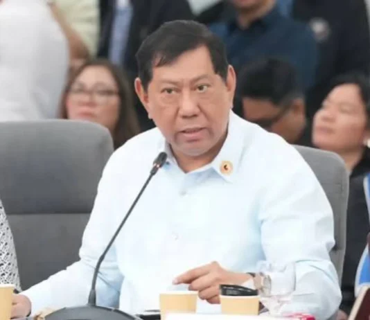 Rep. Erice, nagpanawagan nga may manabat sa kontrobersiya sang ‘unprogrammed funds’