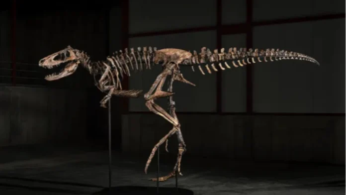 fossil-sang-dinosaur-nga-jodi-nabaligya-473-milyon-ukon-kapin-bilyon-auction