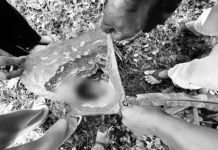 Bagong-silang na sanggol, inabandona sa President Quirino, Sultan Kudarat; pagkakakilanlan ng mga magulang, tinutukoy
