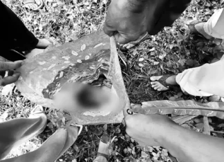 Walang buhay na bagong-silang na sanggol, inabandona sa President Quirino, Sultan Kudarat; pagkakakilanlan ng mga magulang, tinutukoy