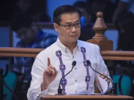Sen. Gatchalian, tinanggihan ang panawagang ibalik sa Kamara ang 2027 national budget bill