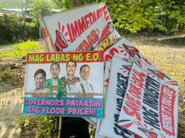 Hog raisers sa Region 12, wala nauyonan ang suhestyon sang gobyerno nga untatan na ang pagbuhi sang baboy