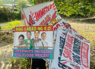 Hog raisers sa Region 12, wala nauyonan ang suhestyon sang gobyerno nga untatan na ang pagbuhi sang baboy