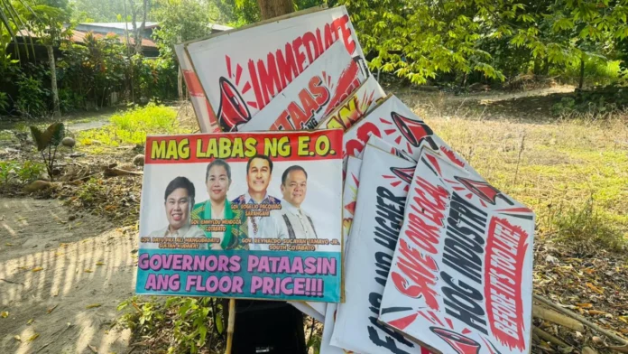 hog-raisers-region-12-wala-nauyonan-suhestyon-sang-gobyerno-nga-untatan-pagbuhi-sang-baboy