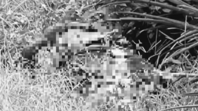 lalaki-nga-nakagapos-kamot-kag-natapanan-mata-nakit-an-patay-pineapple-plantation-polomolok