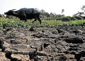 LGU Tampakan nagapreparar sang action plan batok sa posible nga epekto sang Super El Niño