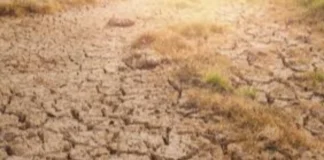 Mahigit P7.8-B pondo, nakahanda para sa relief operations laban sa epekto ng El Niño