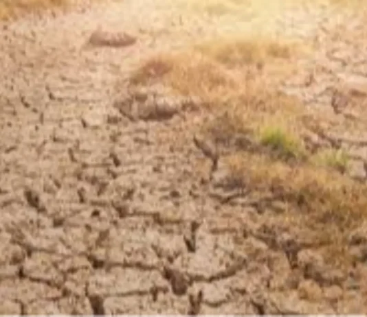 Mahigit P7.8-B pondo, nakahanda para sa relief operations laban sa epekto ng El Niño