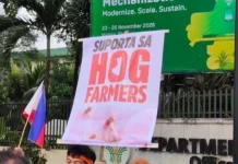 Masipag Mindanao, nagasuporta sa panawagan sang mga lokal nga magbababoy nga untaton ang pork importation