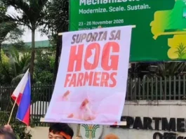 Masipag Mindanao, nagasuporta sa panawagan sang mga lokal nga magbababoy nga untaton ang pork importation