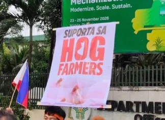 Masipag Mindanao, nagasuporta sa panawagan sang mga lokal nga magbababoy nga untaton ang pork importation