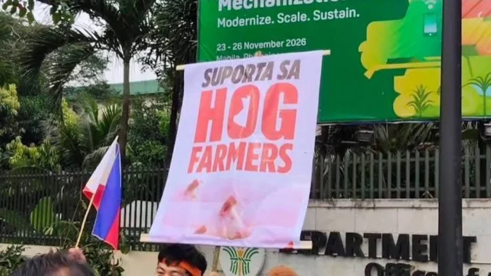 masipag-mindanao-nagasuporta-panawagan-sang-lokal-nga-magbababoy-nga-untaton-pork-importation