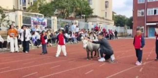 Pony, nakalabaw sa mga estudyante sa karera sang sports day sa China