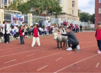 Pony, nakalabaw sa mga estudyante sa karera sang sports day sa China