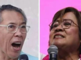 Rep. De Lima kag Rep. Diokno, nanawagan sang mas hugot nga transparency sa paggamit sang pondo sang gobyerno