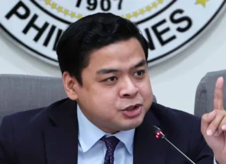 Ridon, nagapanawagan sang pagrepaso sa libel kag cyberlibel law