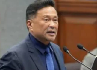 Sen. Ejercito, bukas sa pag-imbitar sang civil society groups sa mga hearing sang bicam para sa 2027 national budget
