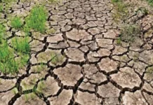 South Cotabato, lakip sa 79 ka probinsya nga posible maeksperyensyahan sang tuman nga kakulang sang ulan sa katapusan sang Marso – Office of the Provincial Agriculturist