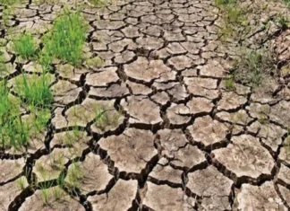 South Cotabato, lakip sa 79 ka probinsya nga posible maeksperyensyahan sang tuman nga kakulang sang ulan sa katapusan sang Marso – Office of the Provincial Agriculturist
