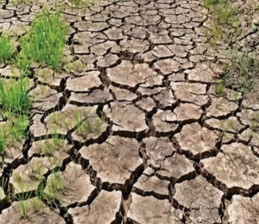South Cotabato, lakip sa 79 ka probinsya nga posible maeksperyensyahan sang tuman nga kakulang sang ulan sa katapusan sang Marso – Office of the Provincial Agriculturist