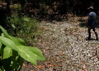 Tampakan LGU nagahanda sang Local El Niño Response Team; edukasyon sa mga mangunguma tutukan