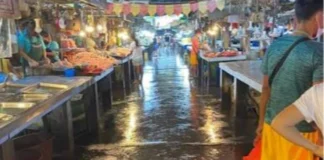 Mga vendor sa Koronadal Public Market, nagapanawagan sang kaangay nga proyekto para sa mga talipapa