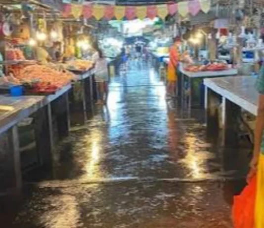 Mga vendor sa Koronadal Public Market, nagapanawagan sang kaangay nga proyekto para sa mga talipapa
