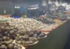 Mga vendor sa Koronadal Public Market, ngpalab-ot sang reklamo angot sa mga presensya sang talipapa sa downtown area