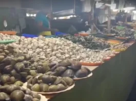 Mga vendor sa Koronadal Public Market, ngpalab-ot sang reklamo angot sa mga presensya sang talipapa sa downtown area