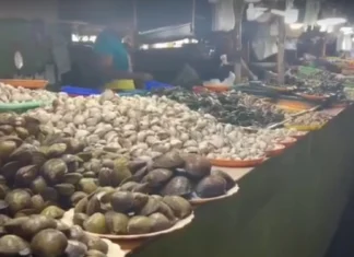 Mga vendor sa Koronadal Public Market, ngpalab-ot sang reklamo angot sa mga presensya sang talipapa sa downtown area