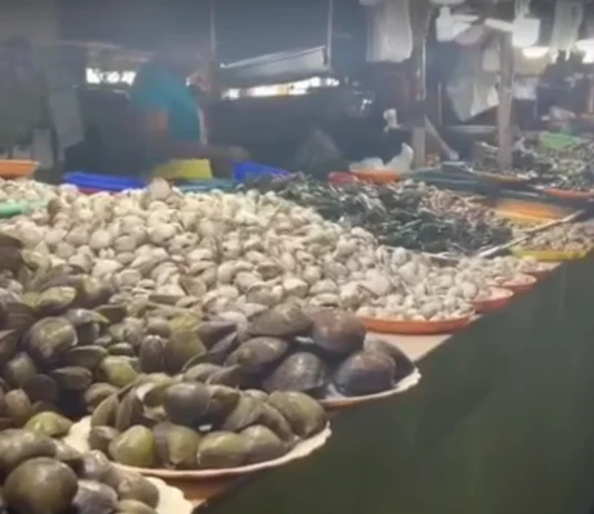 Mga vendor sa Koronadal Public Market, ngpalab-ot sang reklamo angot sa mga presensya sang talipapa sa downtown area