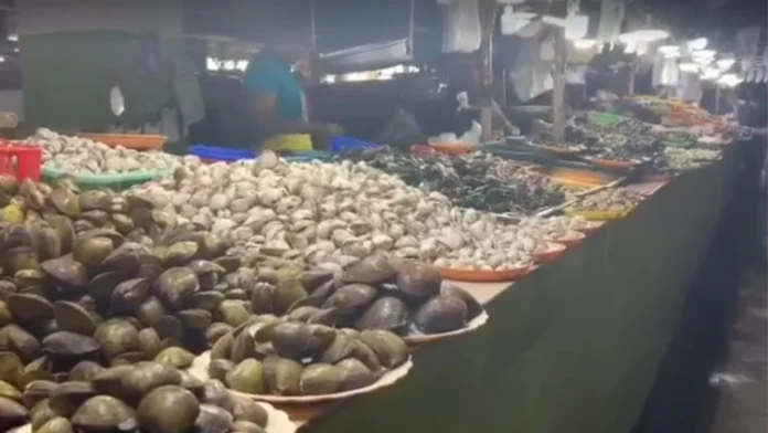 vendor-koronadal-public-market-ngpalab-ot-sang-reklamo-angot-presensya-sang-talipapa-downtown-area