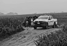 Hindi pa nakikilalang lalaki, natagpuang patay sa pinyahan sa Polomolok; nasa state of decomposition na
