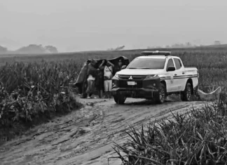 Hindi pa nakikilalang lalaki, natagpuang patay sa pinyahan sa Polomolok; nasa state of decomposition na