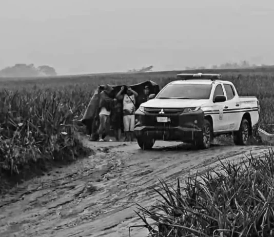 Hindi pa nakikilalang lalaki, natagpuang patay sa pinyahan sa Polomolok; nasa state of decomposition na