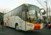 Yellow Bus Line, nagdugang sang kapin 20 ka bus agud maserbisyuhan ang mga pasahero sa Undas