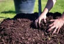 Bise Gob. Marcos, kalikagumna ti panangpaadu pay iti household composting