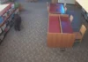 Maysa nga oso, simrek iti maysa a library iti California; security video, nag-viral